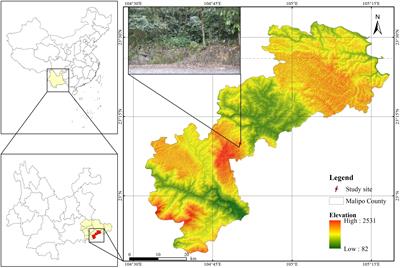 The reproductive strategy of a typical distylous Ophiorrhiza alatiflora (Rubiaceae), in fragmented habitat